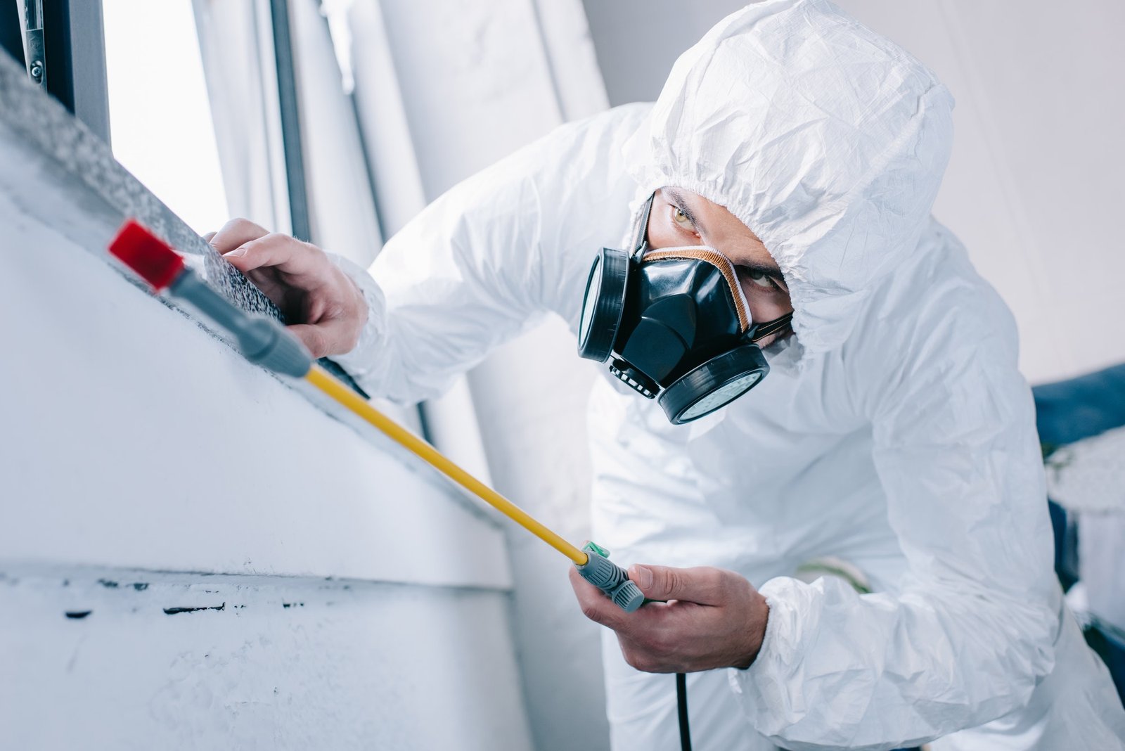 pest-control-worker-in-respirator-spraying-pesticides-under-windowsill-at-home.jpg